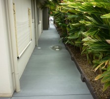 Pathways (4)